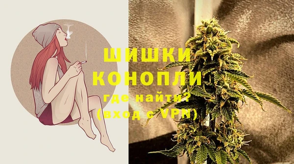 мдпв Касимов