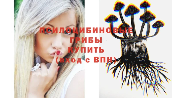 мдпв Касимов
