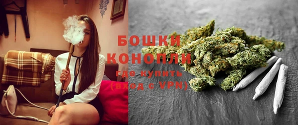 мдпв Касимов
